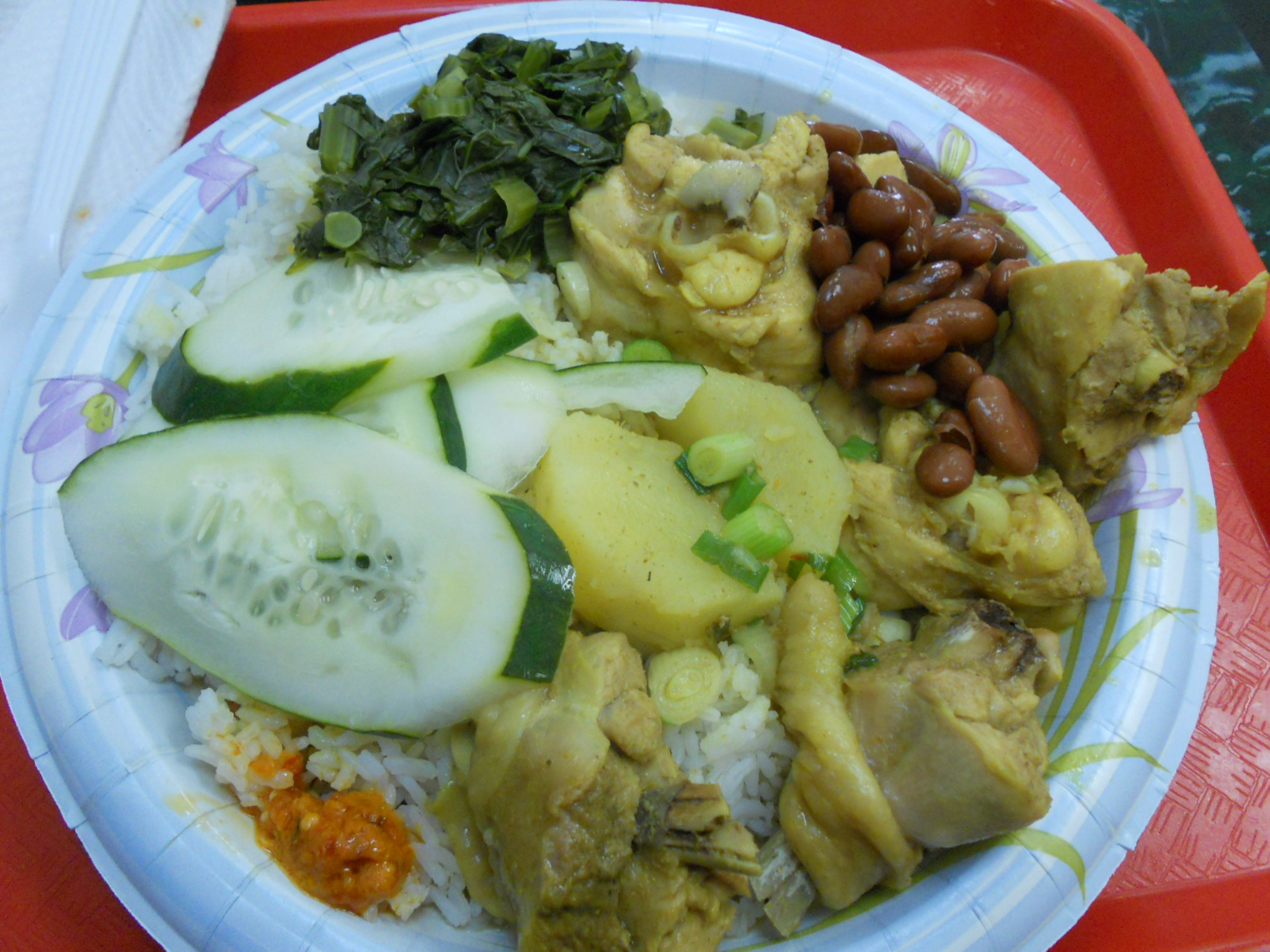 Surinamese food at Warung Kario NYC | United Nations of Food (NYC)