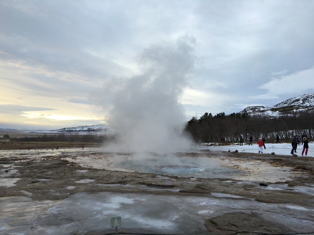 see, even the beautiful Icelandic geyser is excited about Icelandic food