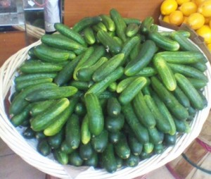 Russian cucumbers