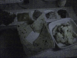 modified Swedish herring sampler