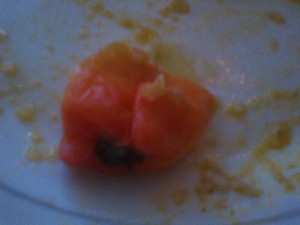 Cote d'Ivoirean devil pepper