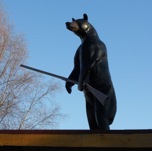 bear with a rifle