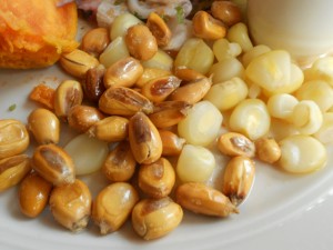 toasted and boiled Peruvian hominy