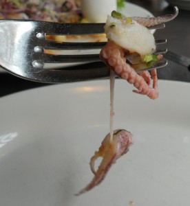 tentacles in ceviche at Urubamba Peruvian restaurant Queens